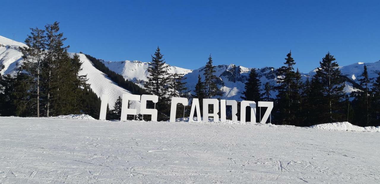 Grand Studio Les Carroz d'Arâches Extérieur photo
